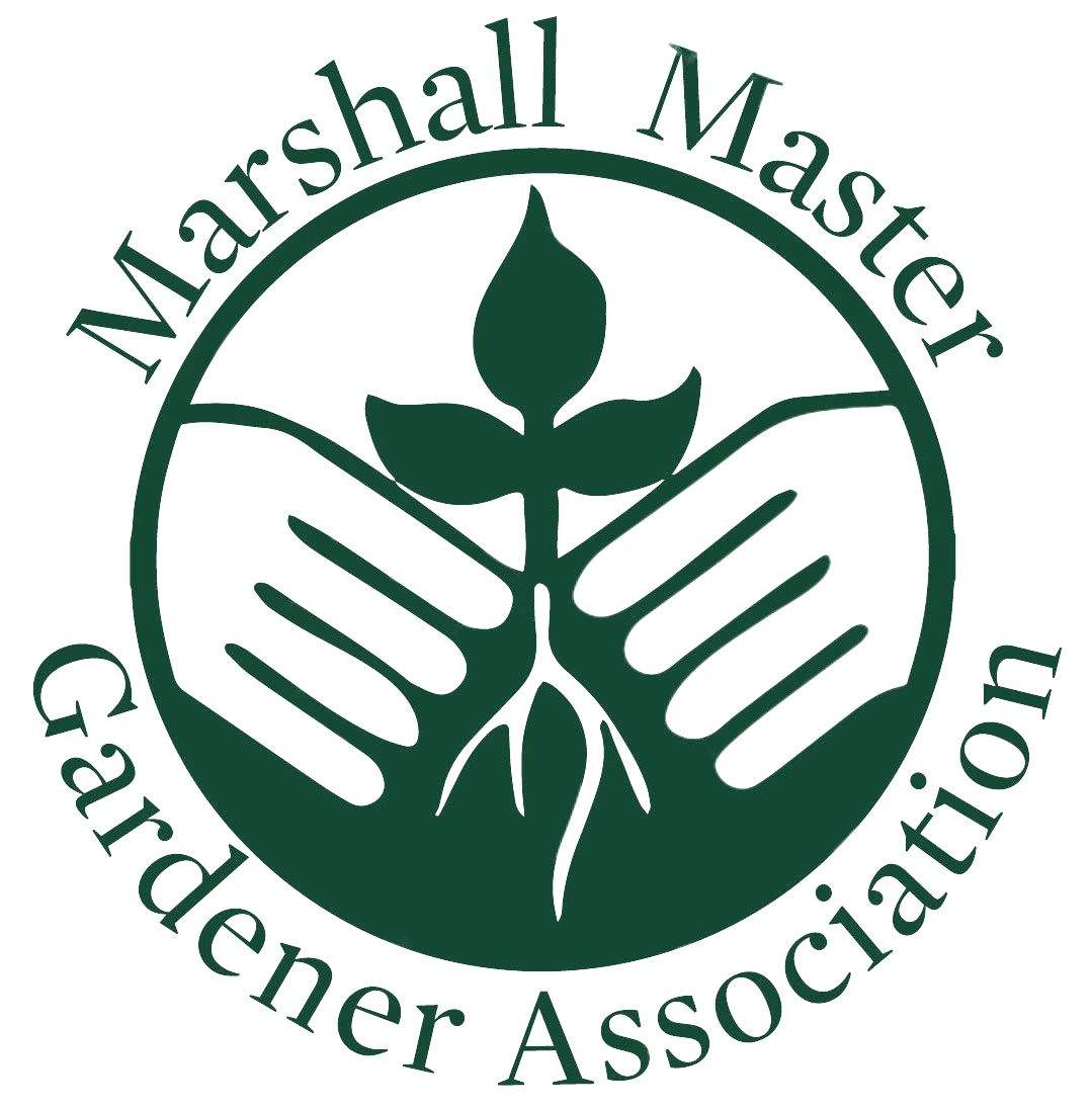 MMGA Logo